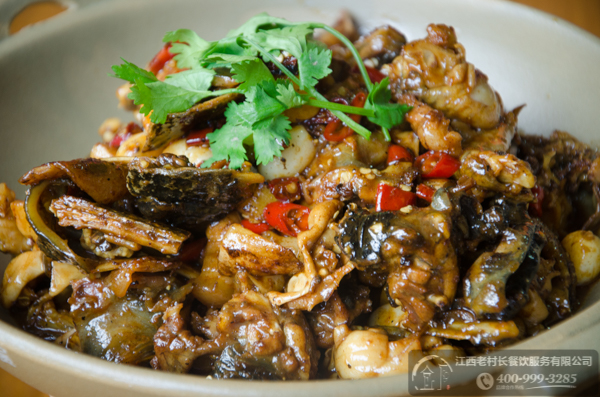 22-小甲鱼烧石鸡_ (5).jpg