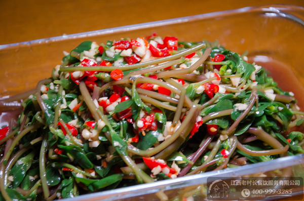 捞汁马齿苋 (1).jpg